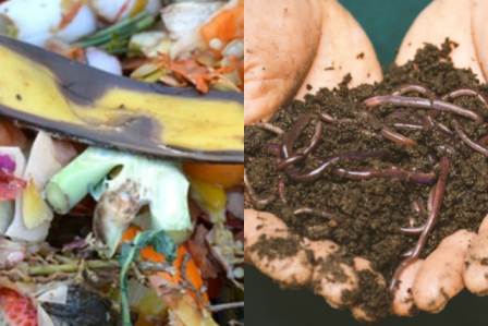 composting meaning in hindi