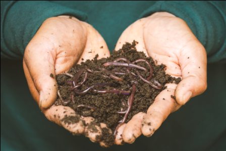 composting meaning in hindi
