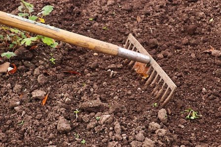 gardening soil hindi