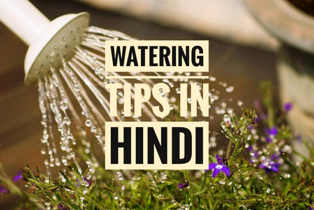 watering tips in hindi