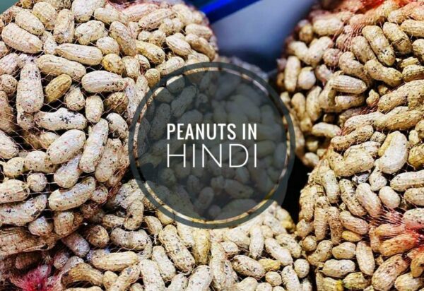 peanut in hindi
