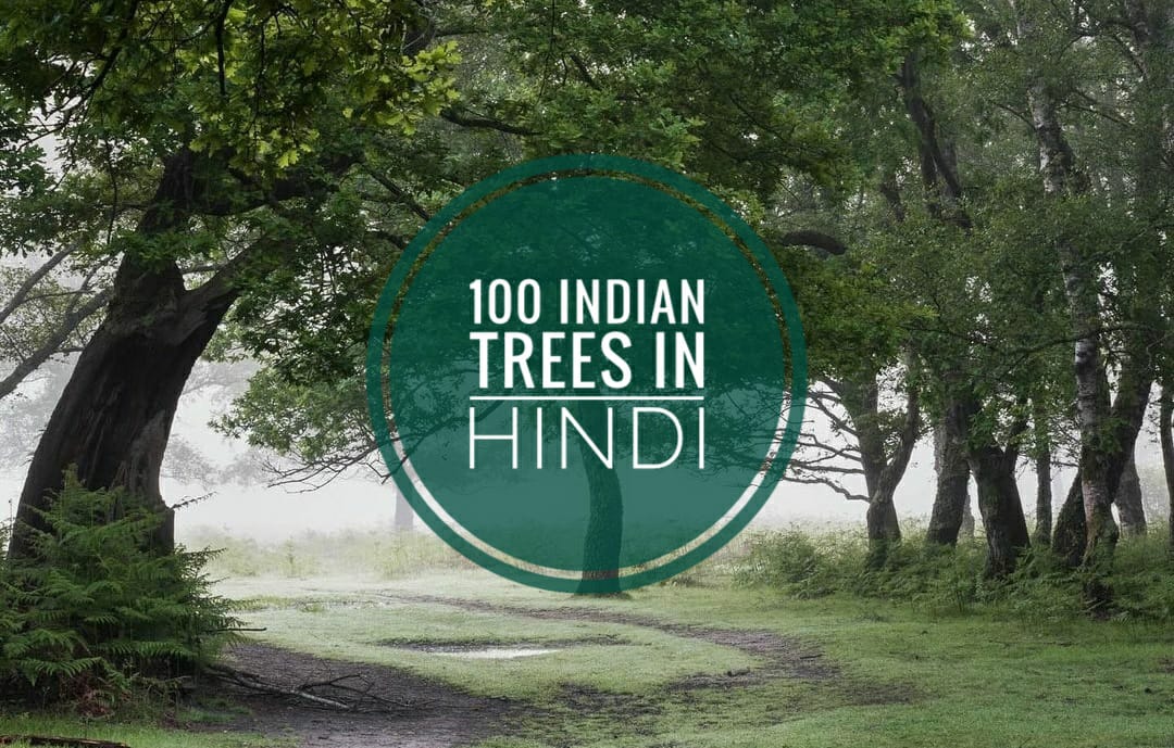 trees name in hindi