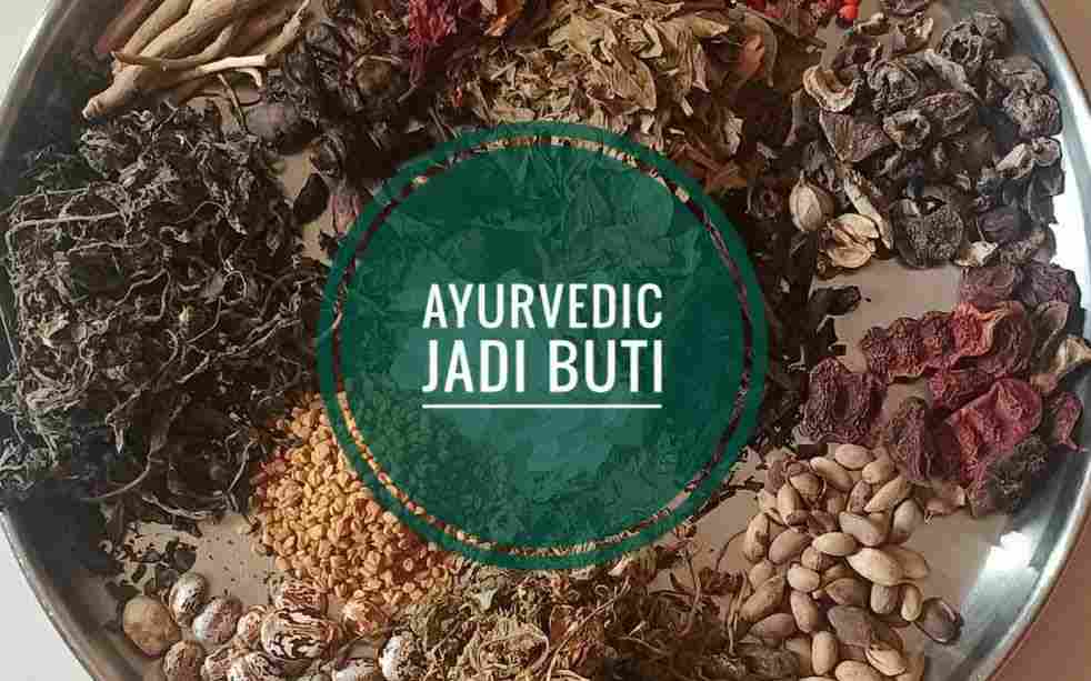 ayurvedic jadi buti