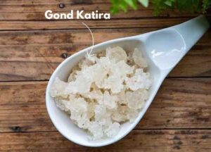 gond katira