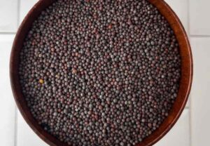Mustard in hindi