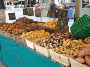 Potato in Hindi (आलू): आलू का पौधा, इतिहास, खेती की विधि और रोचक तथ्य | Complete Gardening Guide